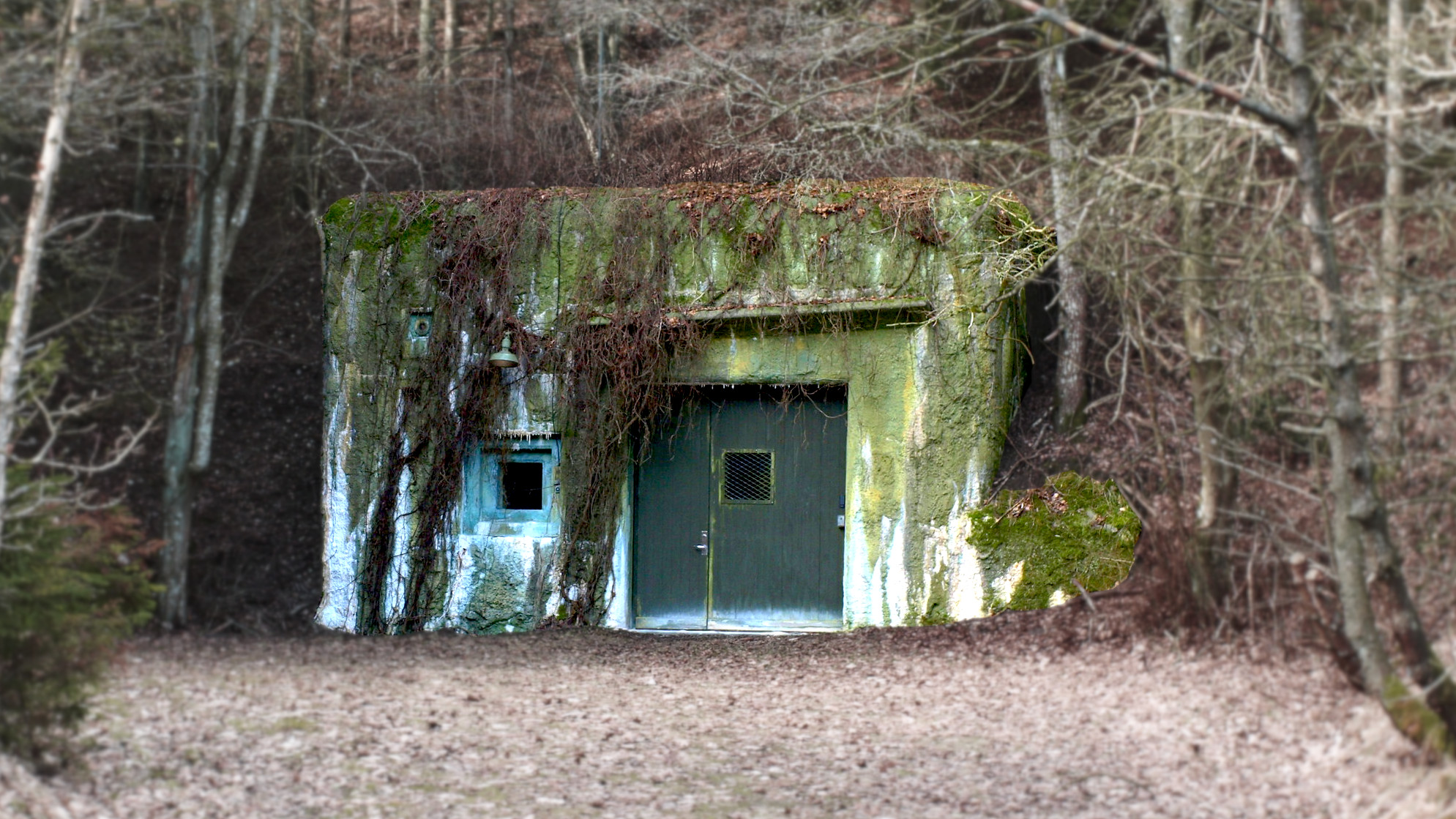 The entrance to a bunker in the woods