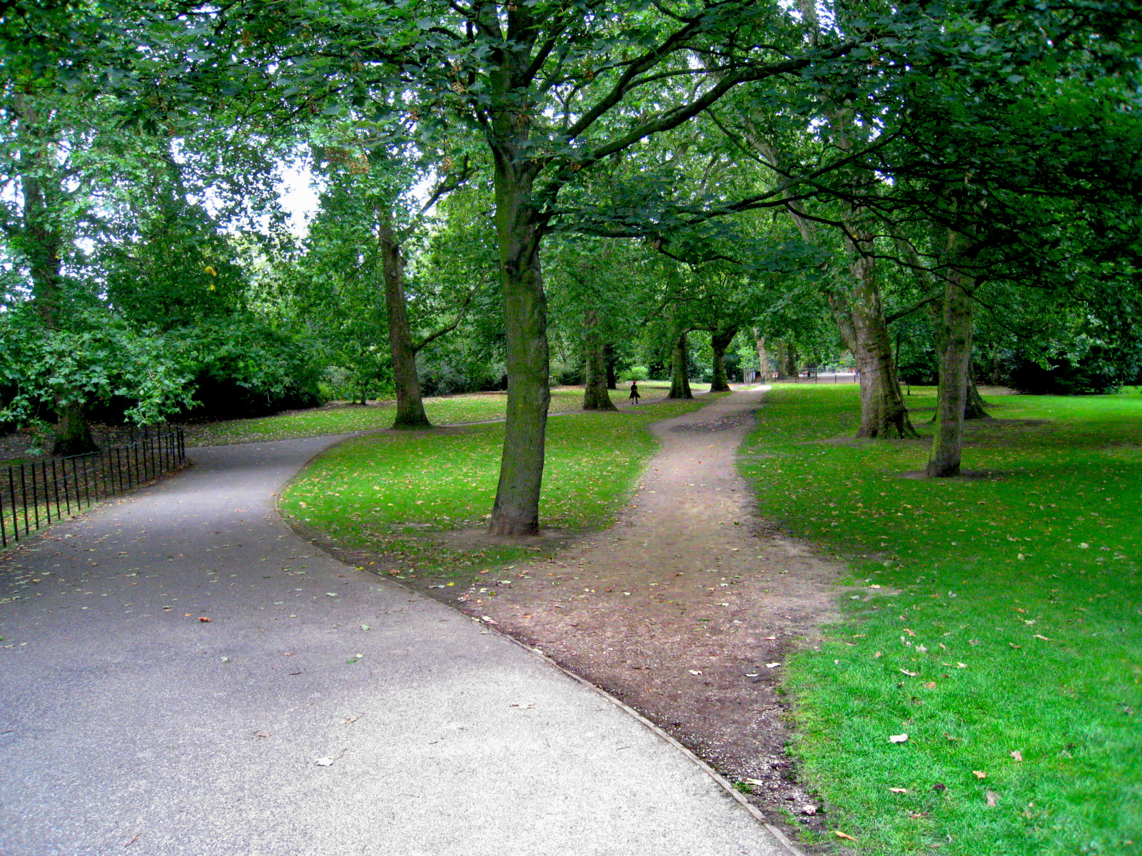 A paved path diverges from a 'desire path' — an area of grass worn from use
